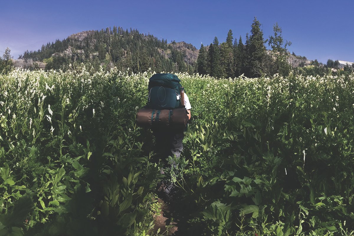 Drew Faraday Explores Survival, Hope, And Humanity In Their Oregon Meltdown Novels